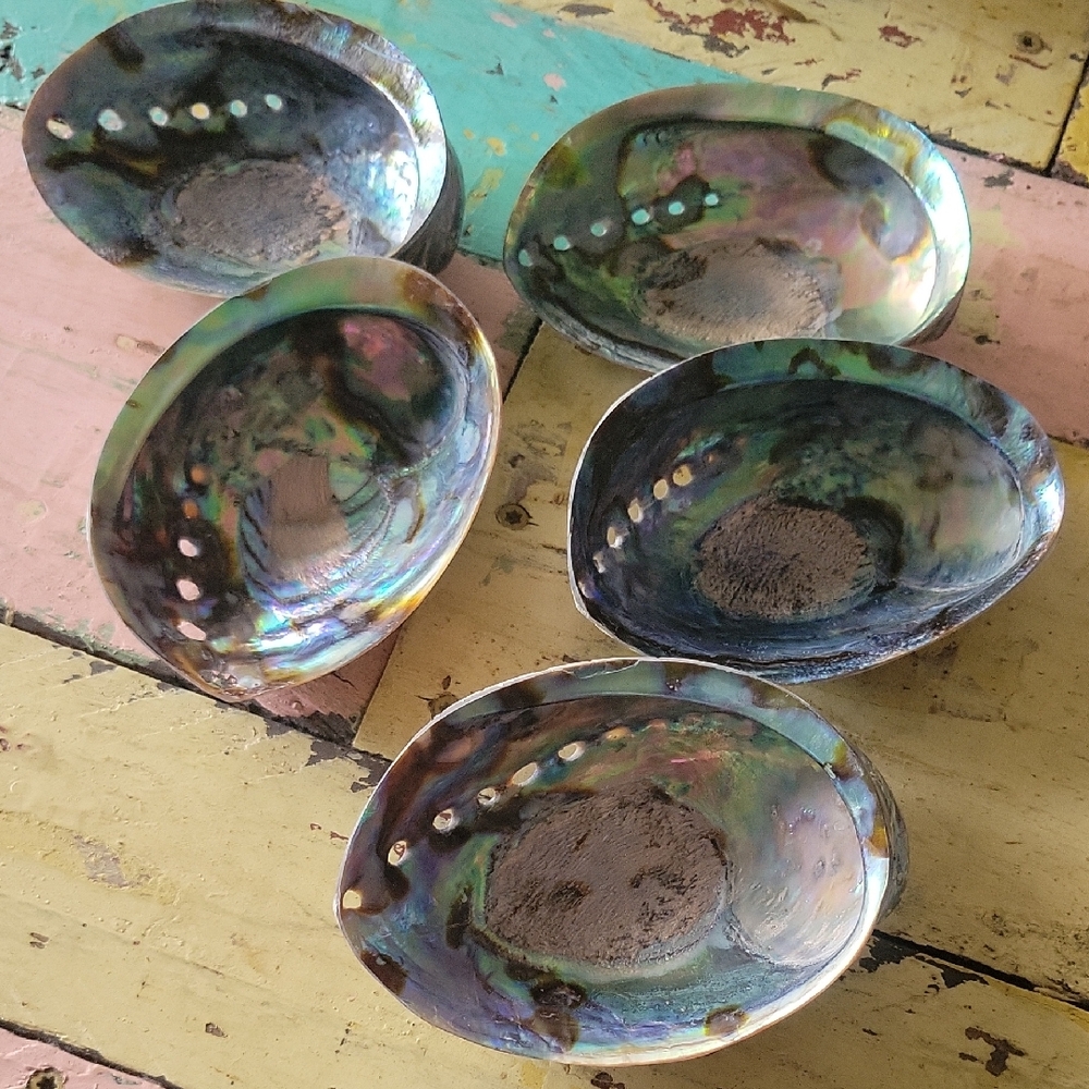 Iridescent Abalone Shell Decorative Bowls